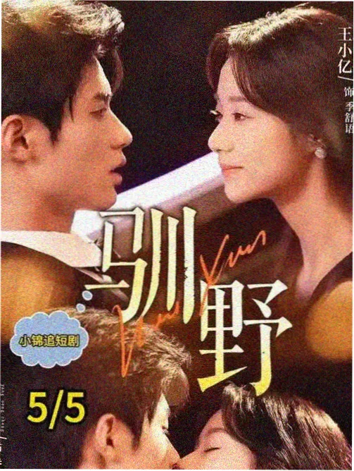 清新系剧集逐集笔记卡片与标签色块